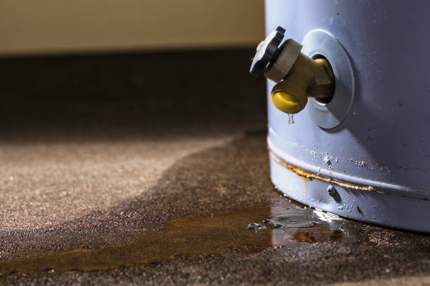 Best Water damage restoration near me  in Eastman, GA
