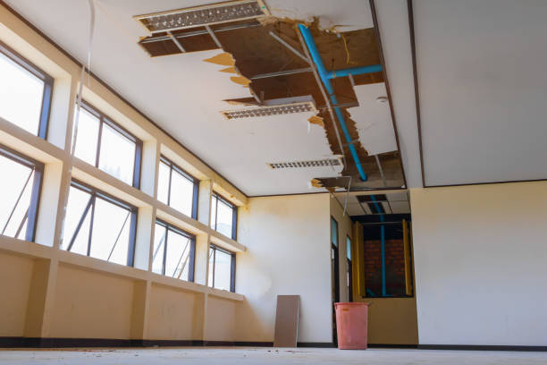 Best Flood damage cleanup  in Eastman, GA