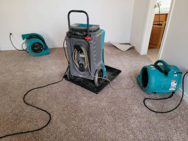 Best Commercial water damage restoration  in Eastman, GA