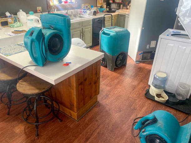  Eastman, GA Water damage restoration Pros