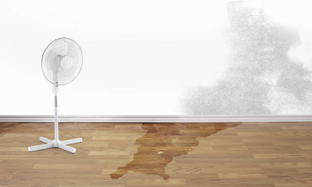Carpet water damage restoration in GA