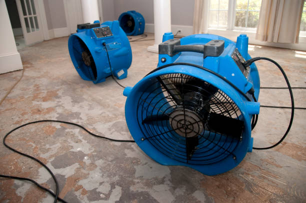 Best Water damage restoration insurance claims  in Eastman, GA