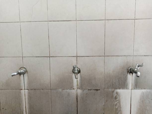 Best Water damage mitigation services  in Eastman, GA