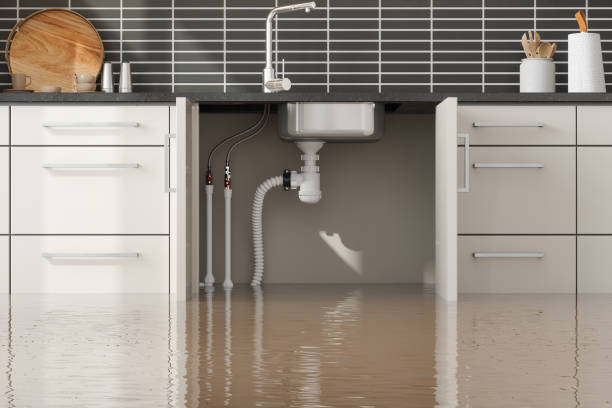 Best Local water damage restoration  in Eastman, GA