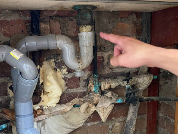 Best Professional water damage repair  in Eastman, GA