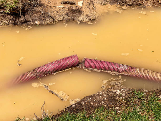 Best Sewage cleanup and water damage restoration  in Eastman, GA