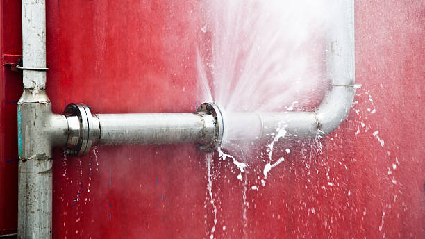 Best Mold removal after water damage  in Eastman, GA