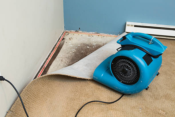 Best Water damage cleanup near me  in Eastman, GA